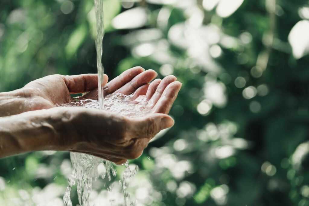 adobestock_272127668-quelle-copy-1024x683_optimized